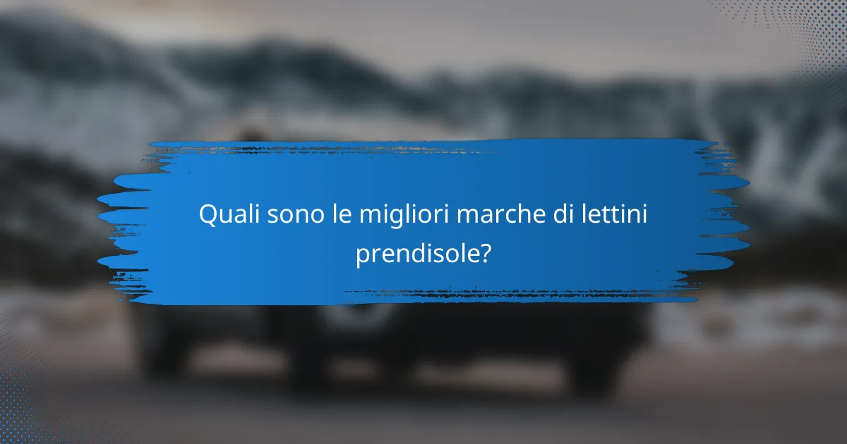 Quali sono le migliori marche di lettini prendisole?